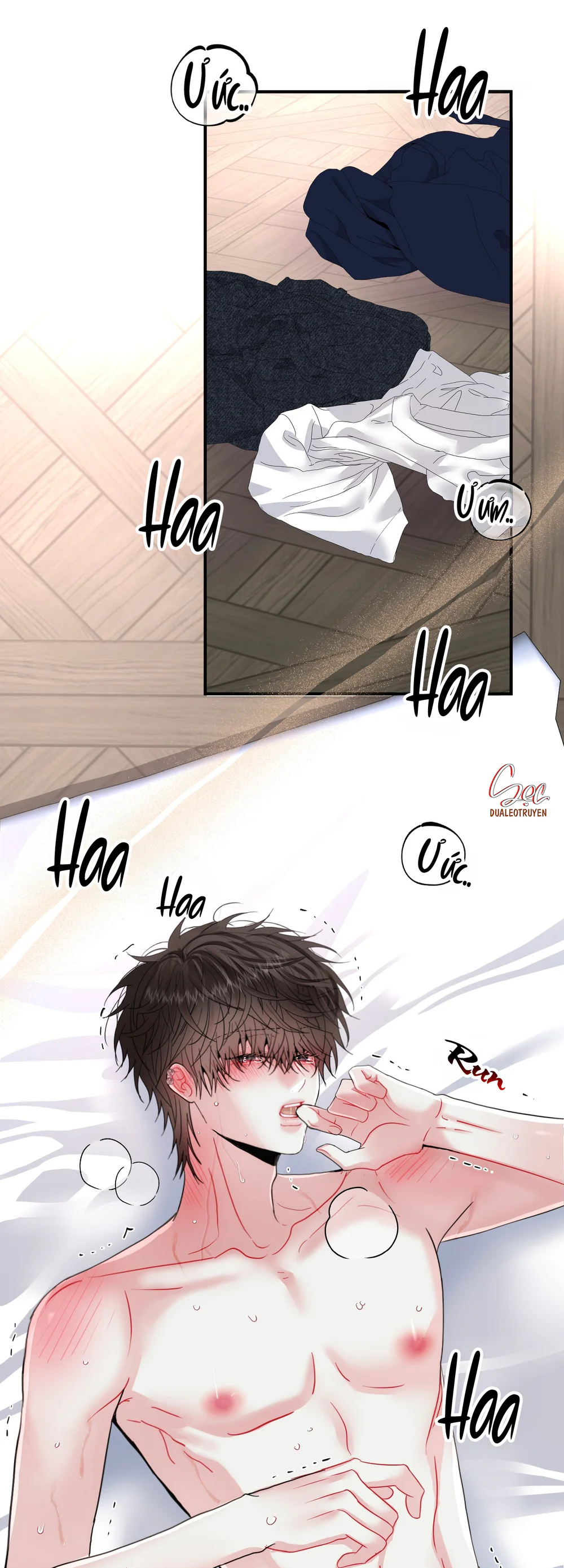 Đọc truyện (ABO) Quo Vadis, Domine? - Chapter 19