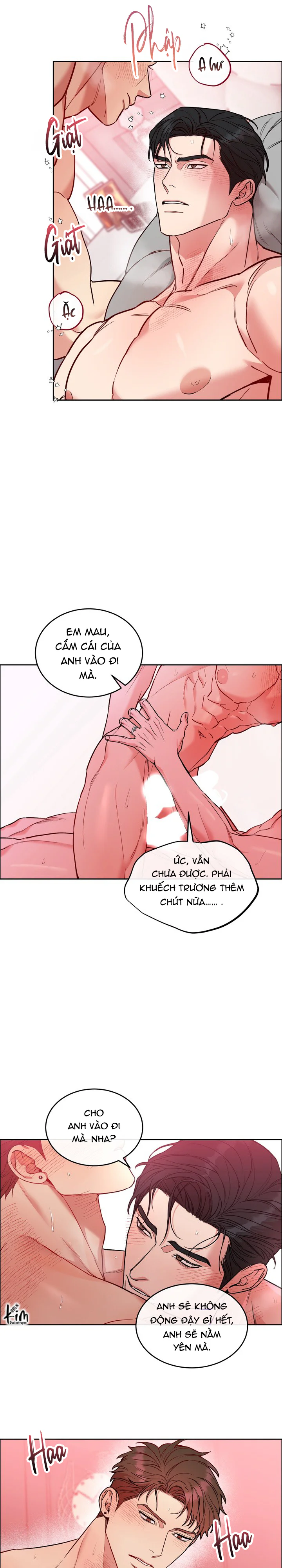 Đọc truyện CHÓ VÀ CHIM - Chapter 69