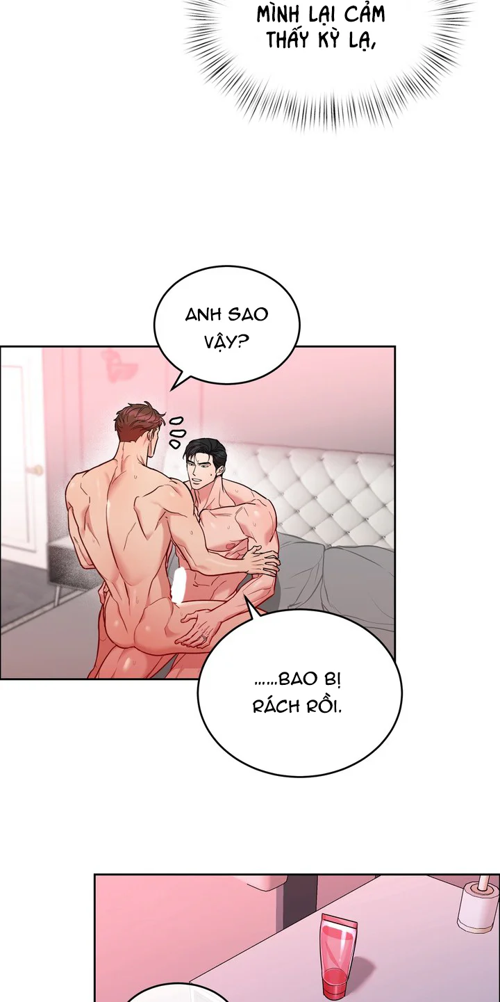 Đọc truyện CHÓ VÀ CHIM - Chapter 69