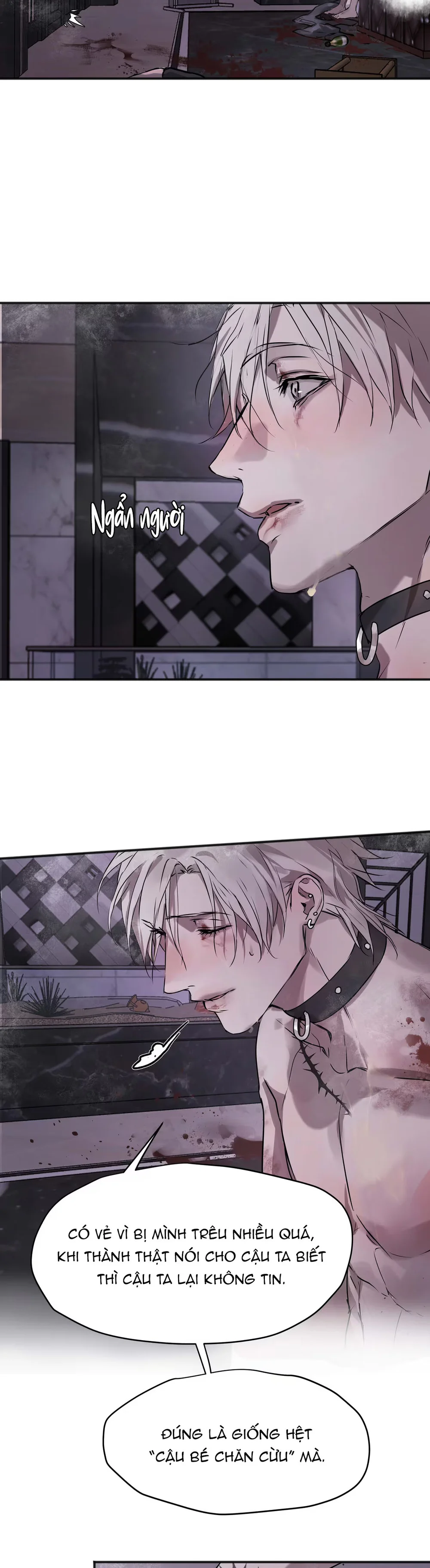 Đọc truyện Bị Chó Điên Phát Hiện Là Đồng Loại - Chapter 15
