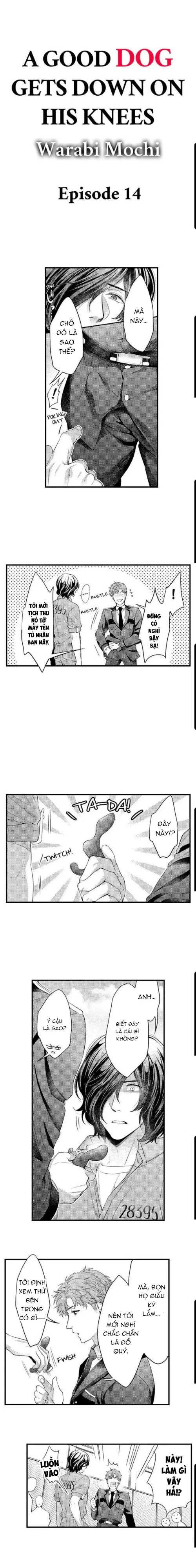 Đọc truyện Khao khát quỳ xuống như một con chó ngoan - Chapter 14
