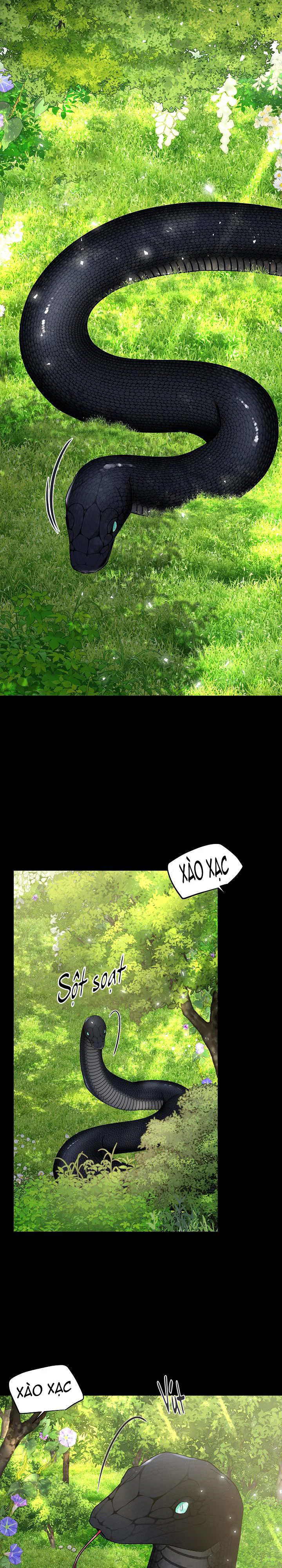 Đọc truyện Snake Hole - Chapter 27