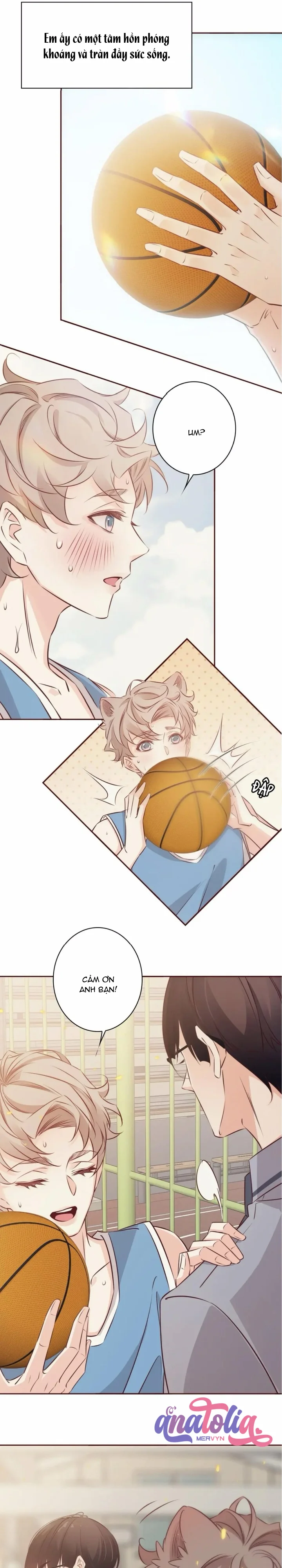 Đọc truyện Yêu Em Bất Chấp - Chapter 41