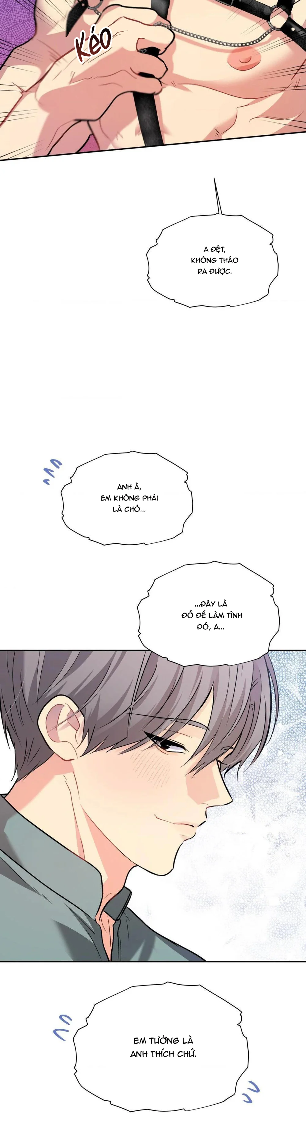Đọc truyện Em Nguyện Làm Chó Của Anh - Chapter 5