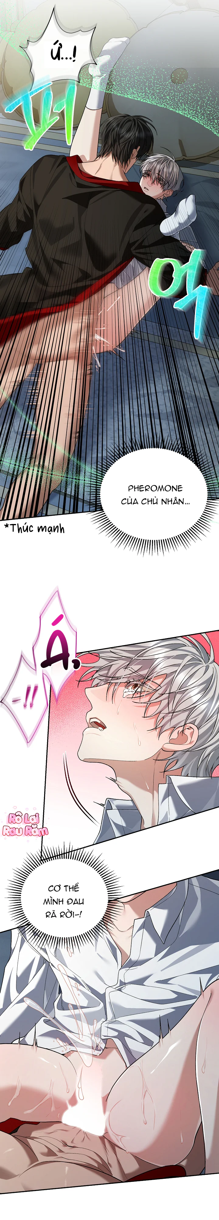 Đọc truyện Nội tình dâm đãng của nô lệ nhà công tước - Chapter 2