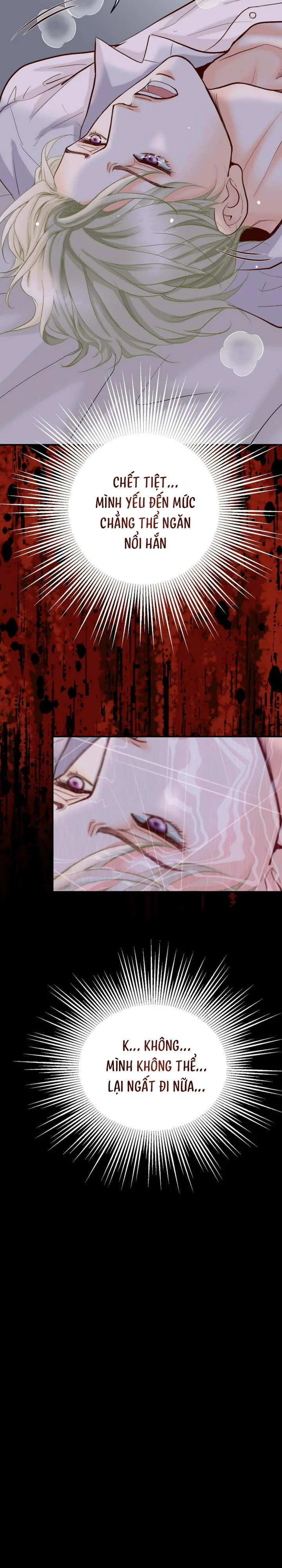 Đọc truyện Hôn Thê Của Bóng Tối - Chapter 33