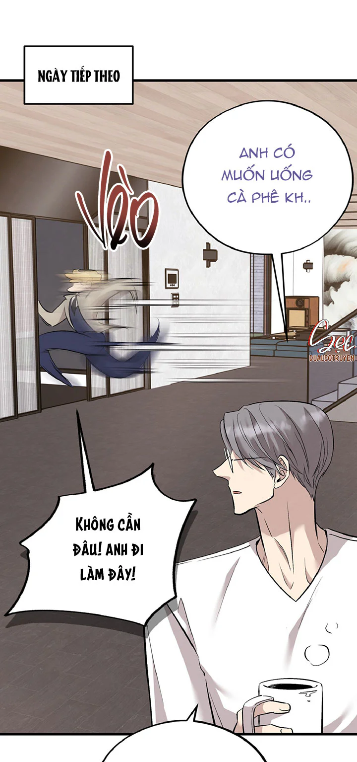 Đọc truyện HONEY BEAR - Chapter 91