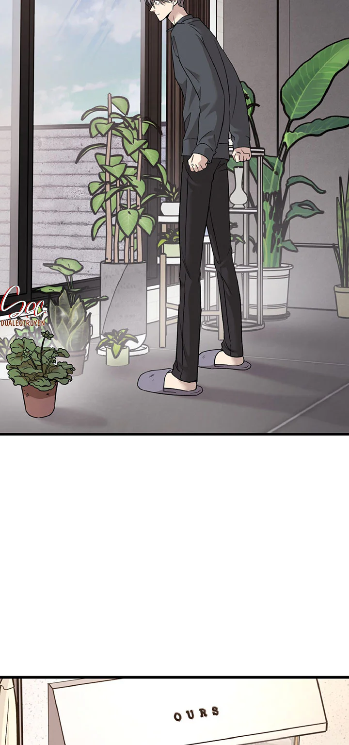Đọc truyện HONEY BEAR - Chapter 91