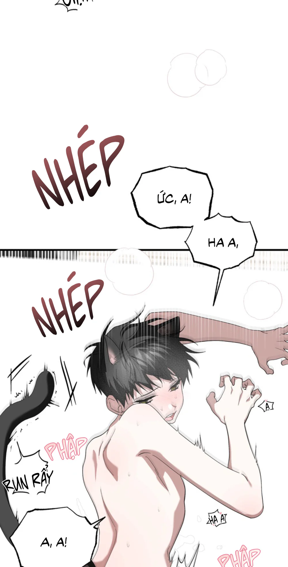 Đọc truyện XIN HÃY YÊU THƯƠNG DÙ TÔI LÀ CHUỘT - Chapter 26