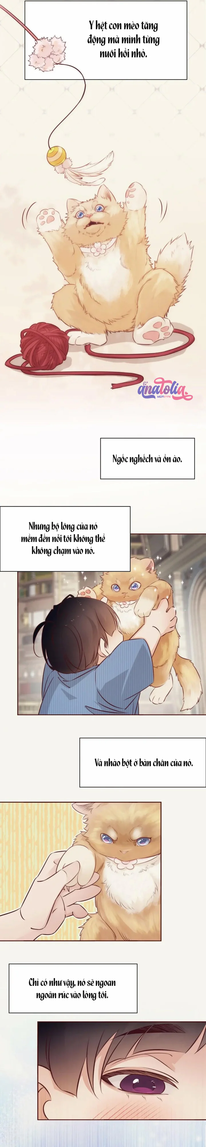 Đọc truyện Yêu Em Bất Chấp - Chapter 42