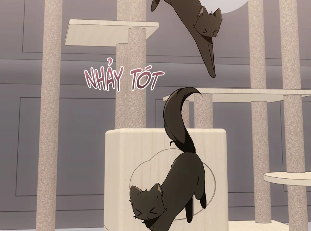 Đọc truyện LIỆU PHÁP TRỊ LIỆU MÈO - Chapter 21