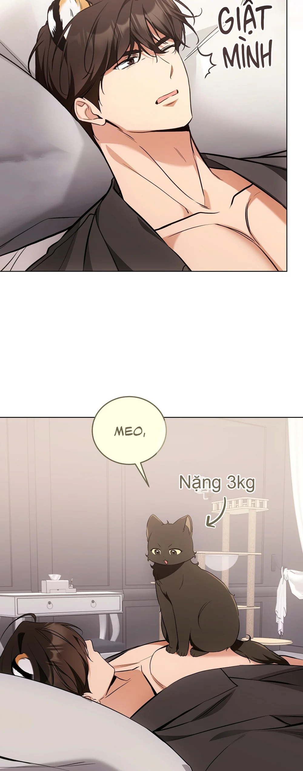 Đọc truyện LIỆU PHÁP TRỊ LIỆU MÈO - Chapter 21