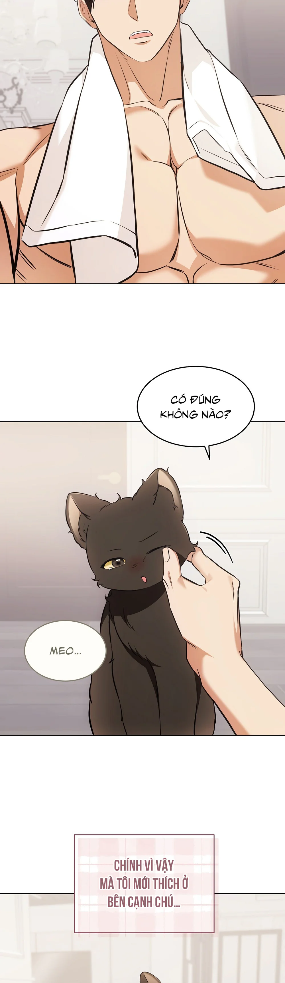 Đọc truyện LIỆU PHÁP TRỊ LIỆU MÈO - Chapter 22
