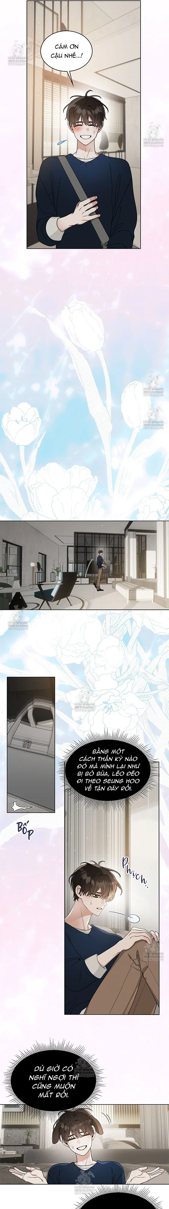 Đọc truyện Bẫy Tình Yêu - Chapter 1