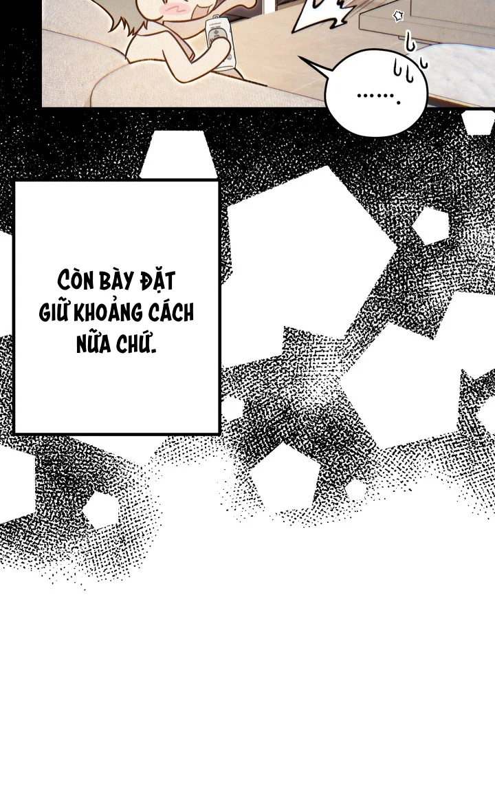 Đọc truyện Lừa Dối Hay Chân Thành - Chapter 5