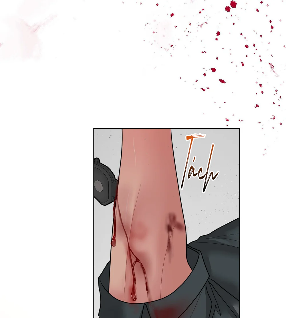 Đọc truyện (ABO) Peppermint Candy - Chapter 31
