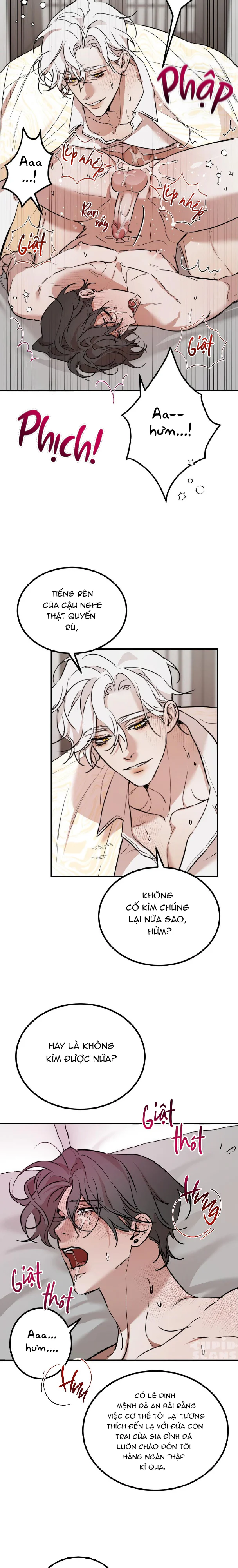 Đọc truyện Tuyển Tập Manhwa Ngắn Nhà Mèo Méo Meo Mèo Meo - Chapter 4.3