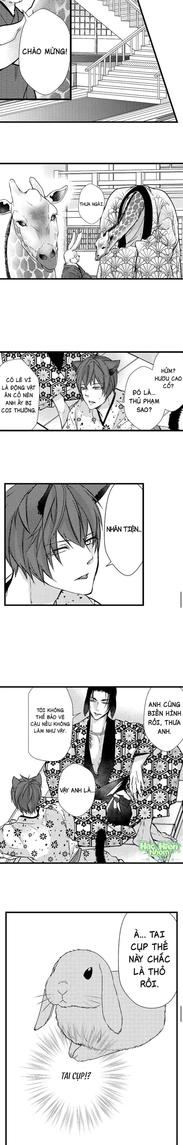 Đọc truyện Fan cuồng Boylove bị triệu hồi tới một thế giới lạ - Chapter 49