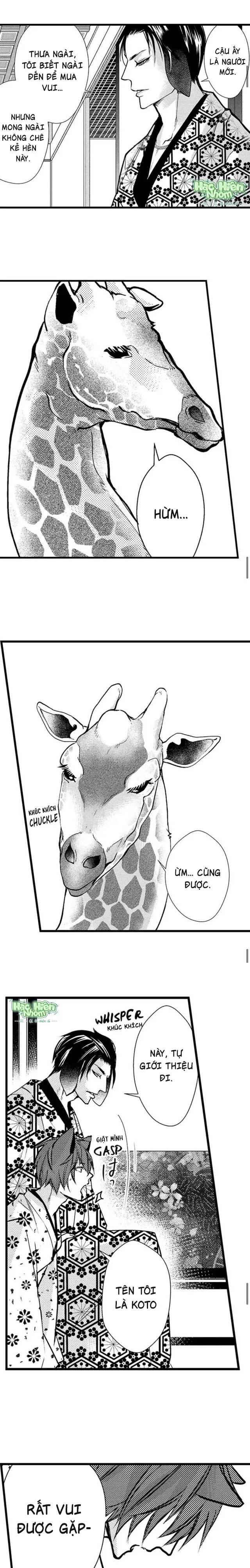 Đọc truyện Fan cuồng Boylove bị triệu hồi tới một thế giới lạ - Chapter 49