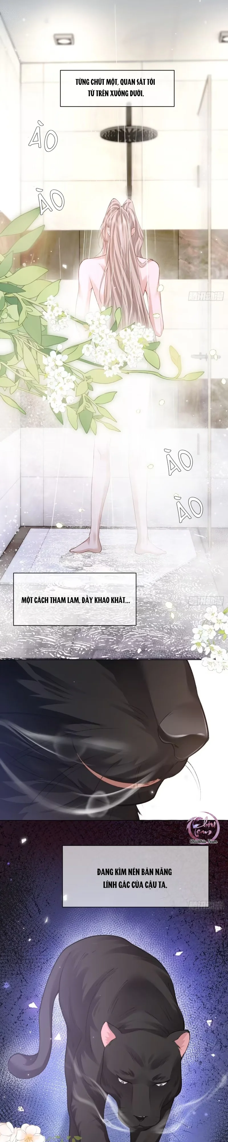 Đọc truyện Chim Trong Lồng - Chapter 26