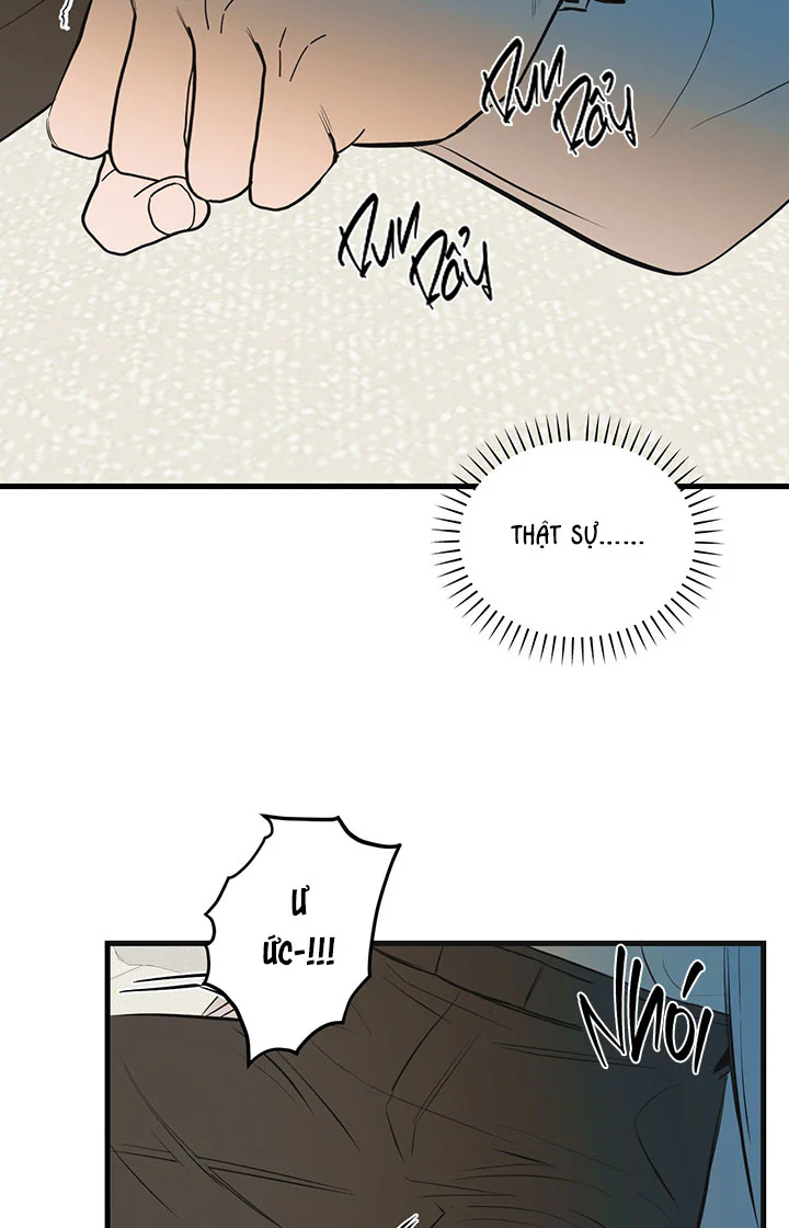 Đọc truyện (ABO) VẬT TẾ THẦN - Chapter 20