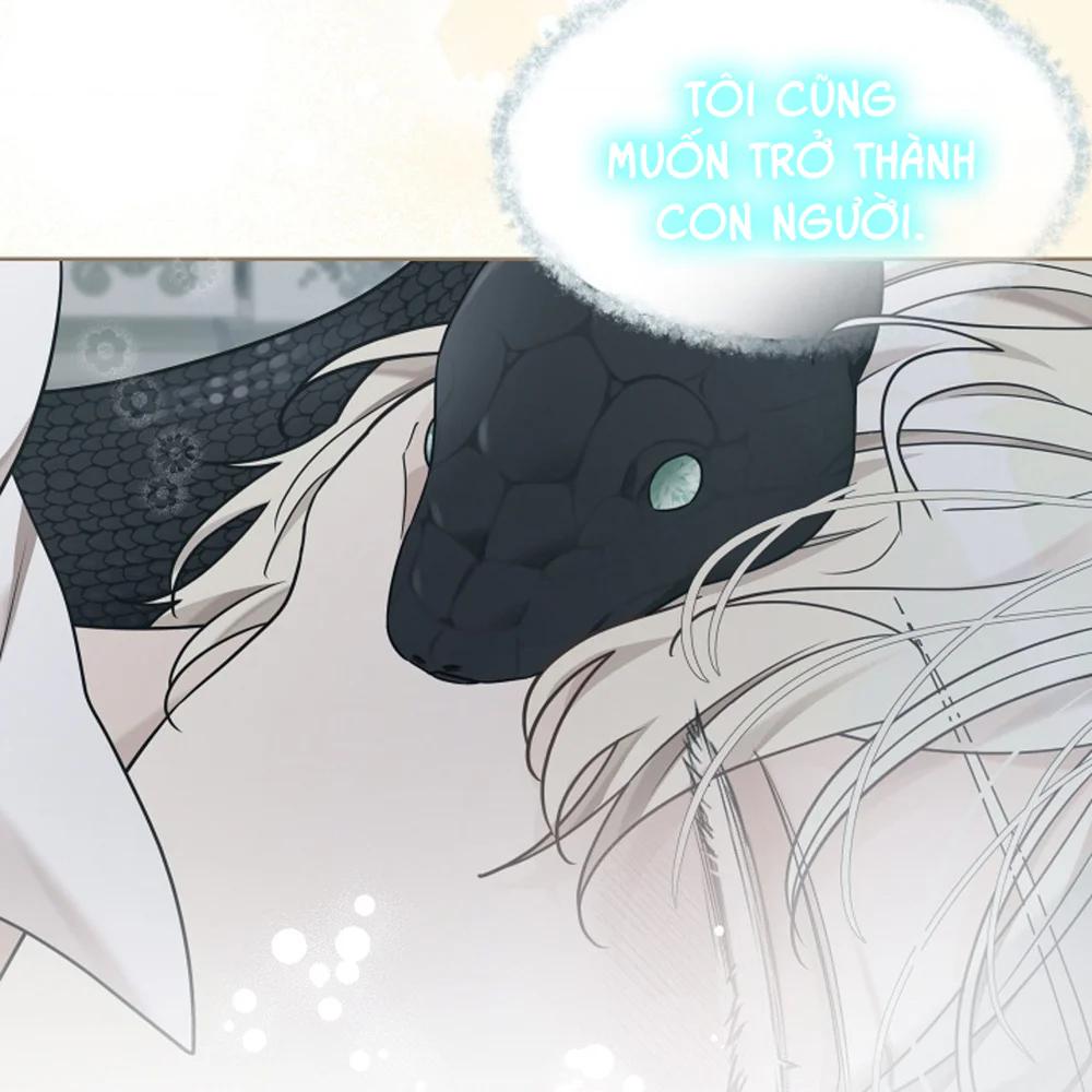 Đọc truyện HANG RẮN - Chapter 26