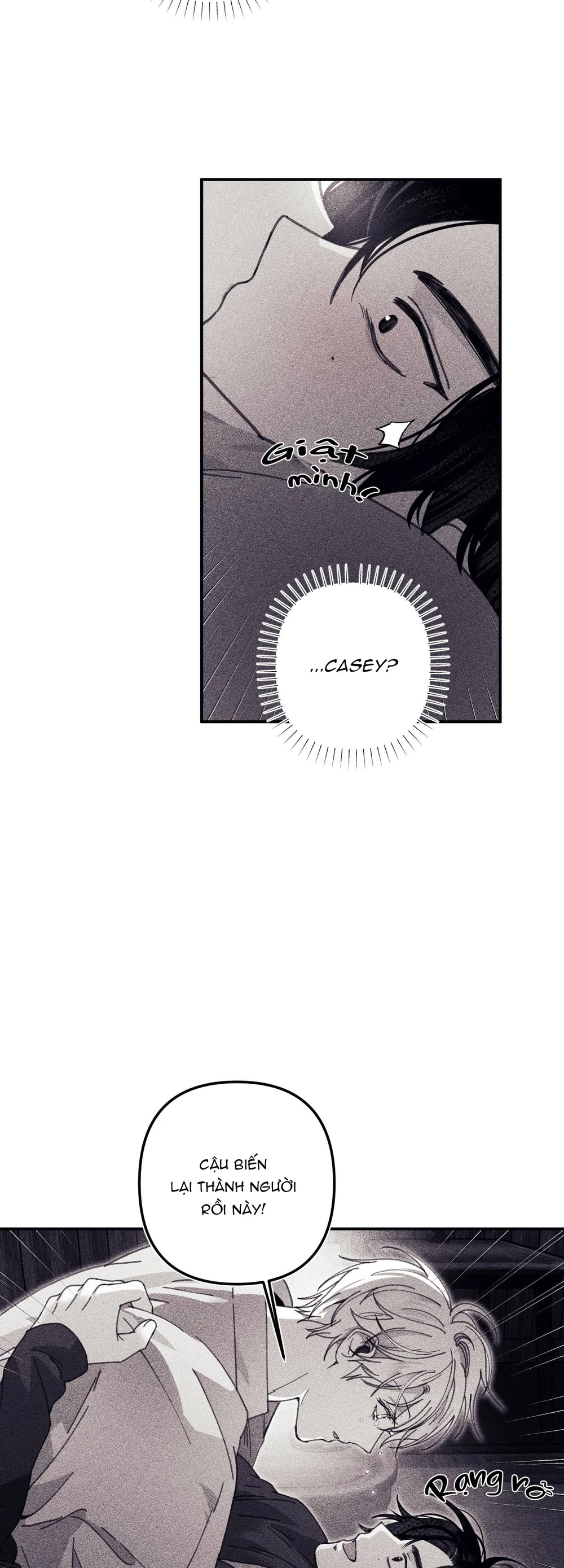 Đọc truyện Bí Mật Của Casey - Chapter 21