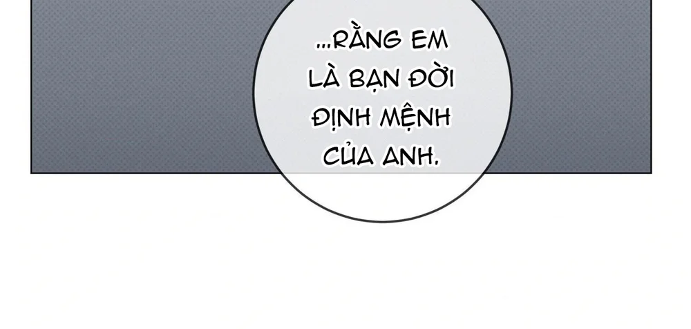 Đọc truyện Định Mệnh Sai Lầm - Chapter 24
