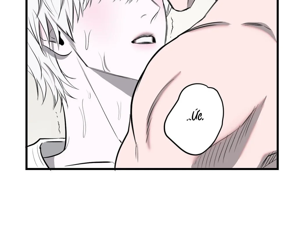 Đọc truyện (ABO) VẬT TẾ THẦN - Chapter 21