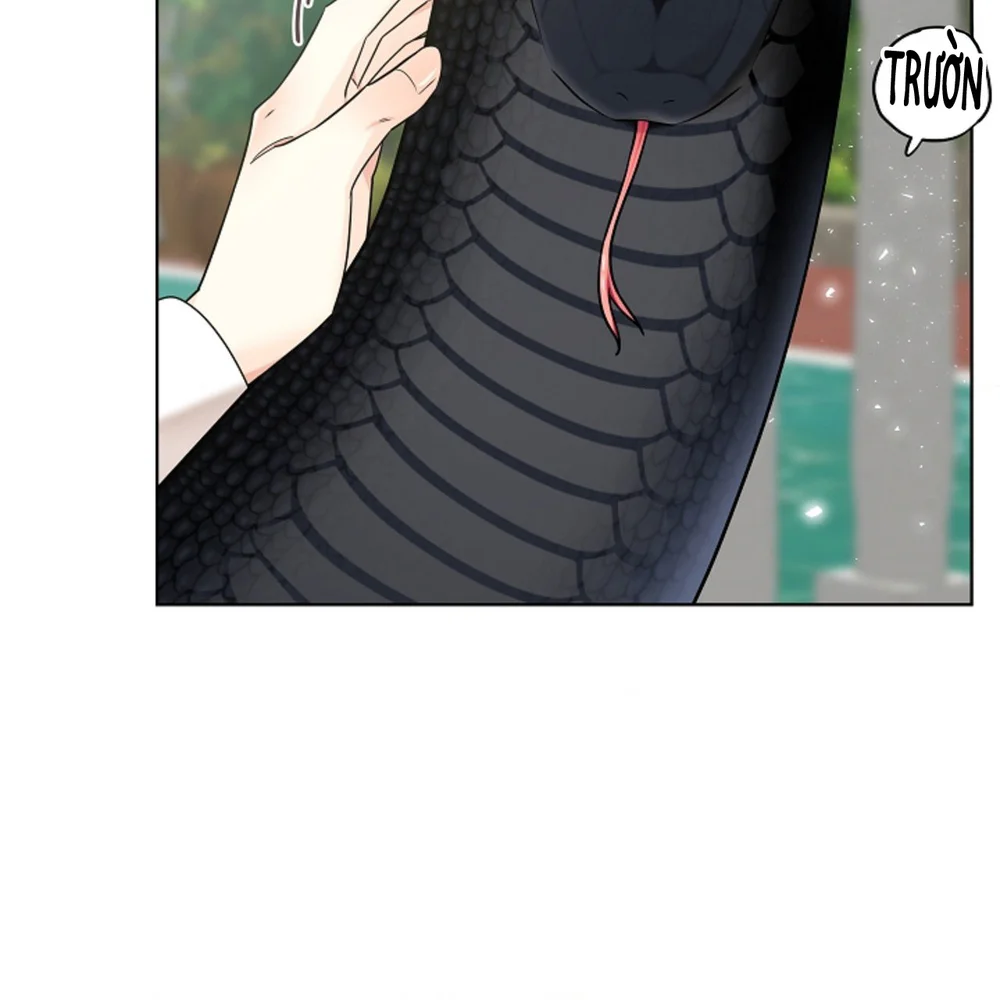 Đọc truyện HANG RẮN - Chapter 27