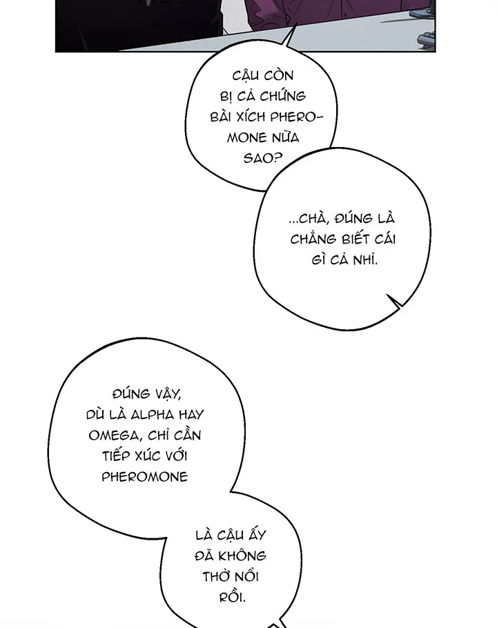 Đọc truyện Accidental baby - Chapter 16