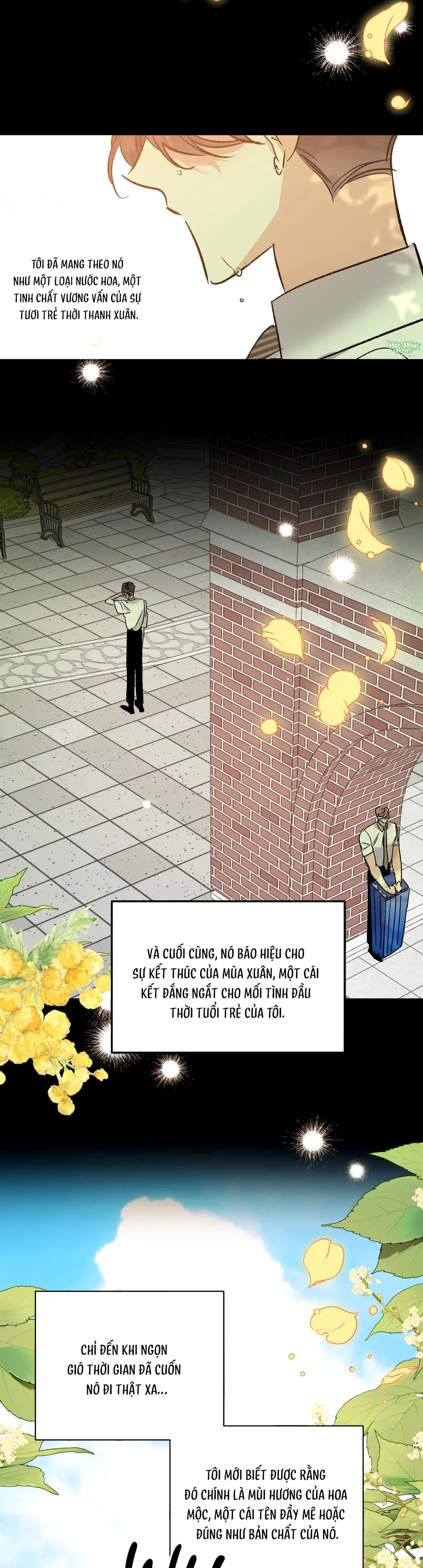 Đọc truyện Vũ Trụ Nơi Thiên Thạch Rơi - Chapter 27