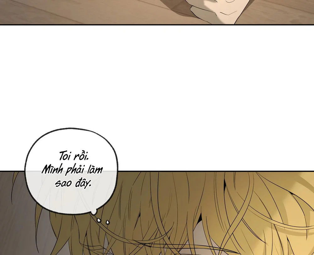 Đọc truyện Tôi và Yang Il-woo - Chapter 37