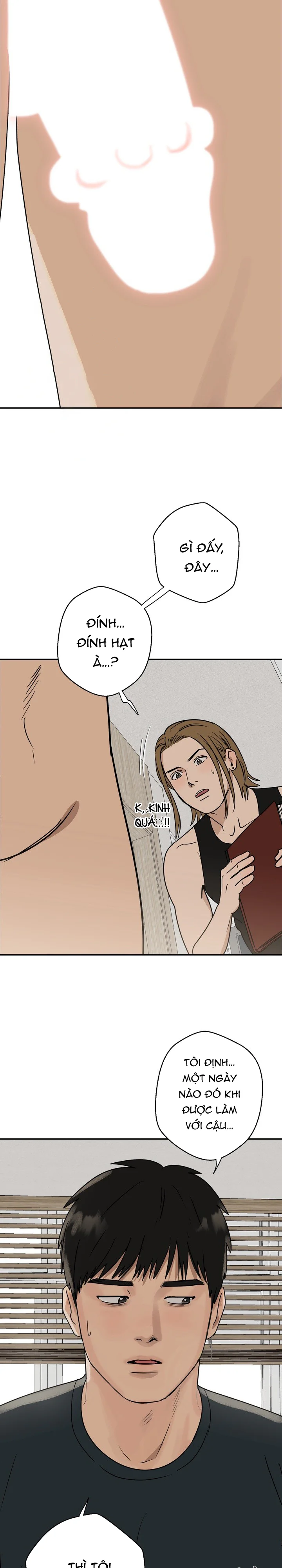 Đọc truyện HOA HƯỚNG DƯƠNG ĐÃ NỞ RỒI - Chapter 2