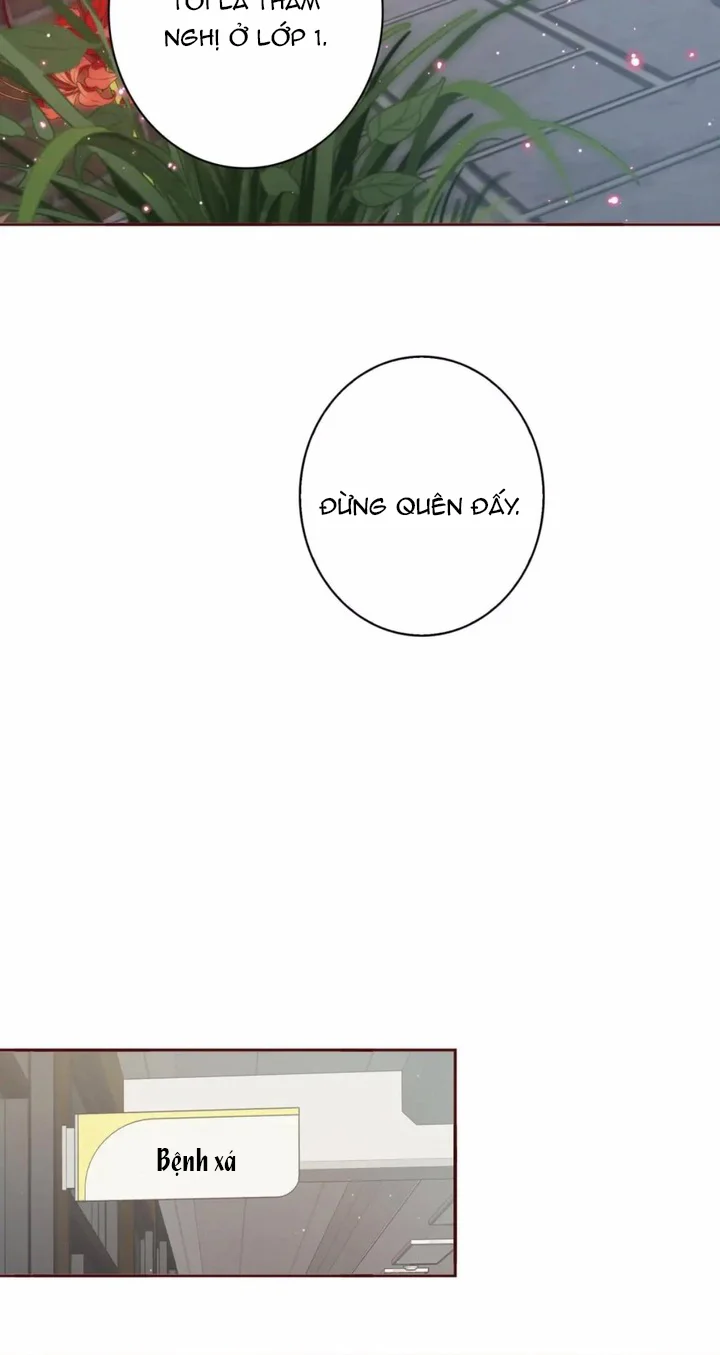 Đọc truyện Yêu Em Bất Chấp - Chapter 45