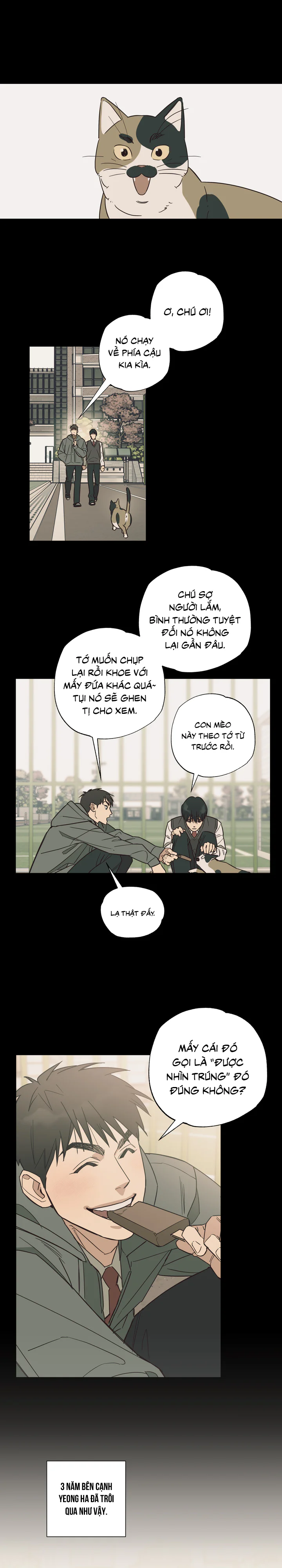 Đọc truyện Lựa chọn tương hỗ - Chapter 1