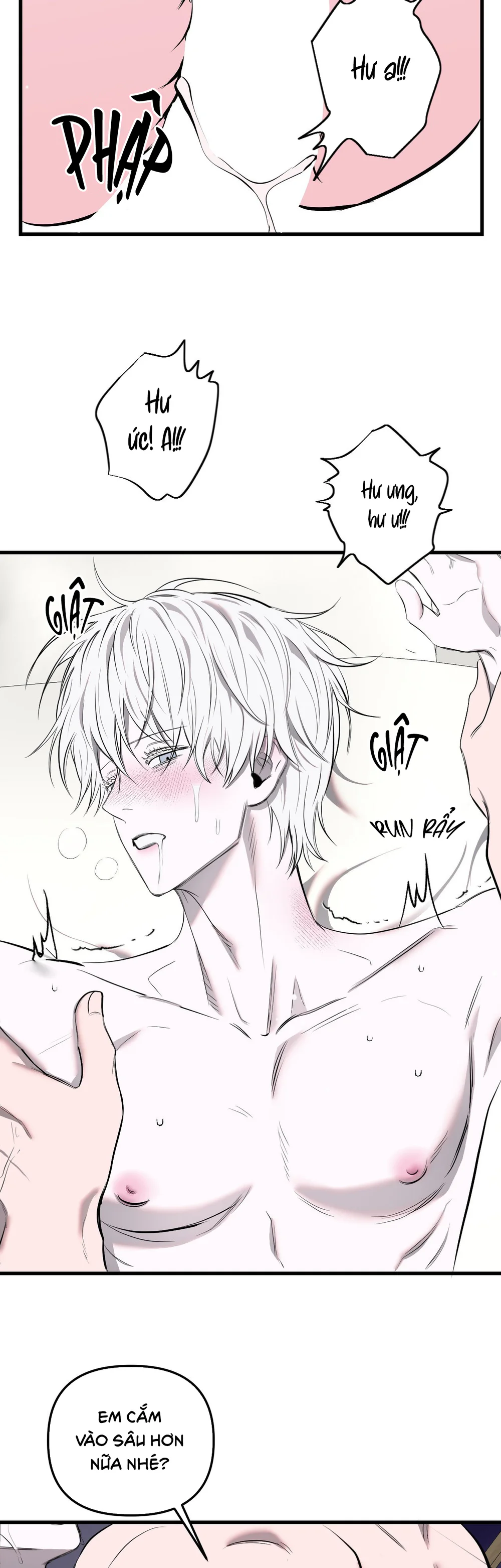 Đọc truyện (ABO) VẬT TẾ THẦN - Chapter 22