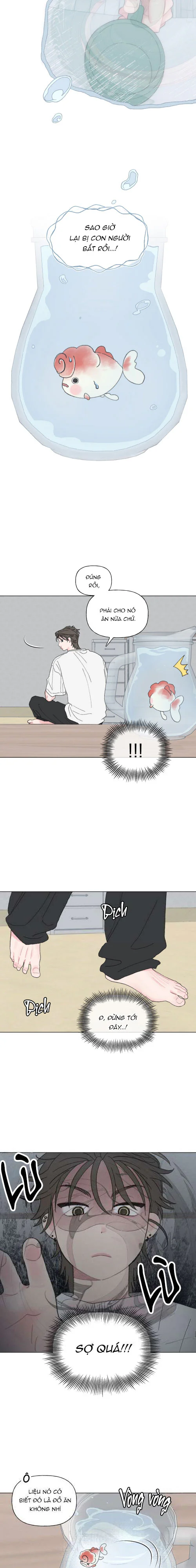 Đọc truyện Oranda Đáng Yêu - Chapter 1