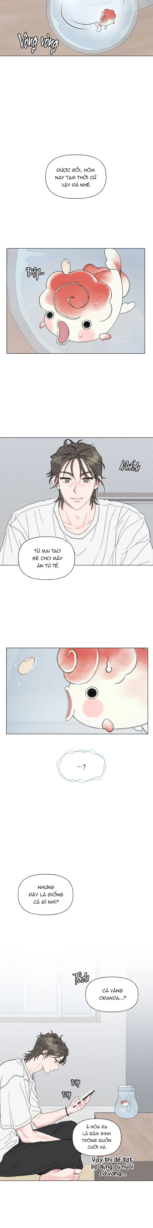 Đọc truyện Oranda Đáng Yêu - Chapter 1