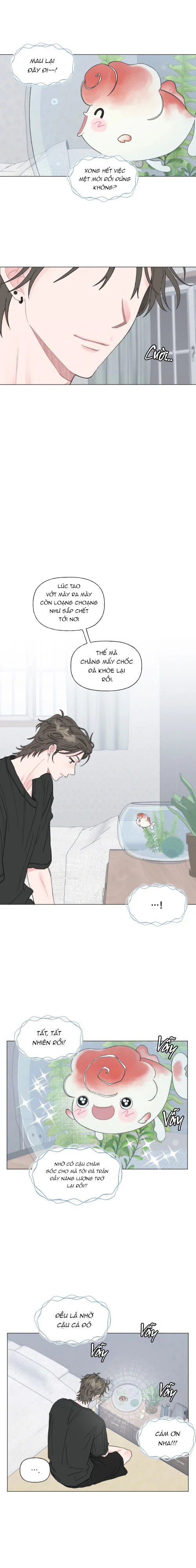 Đọc truyện Oranda Đáng Yêu - Chapter 1