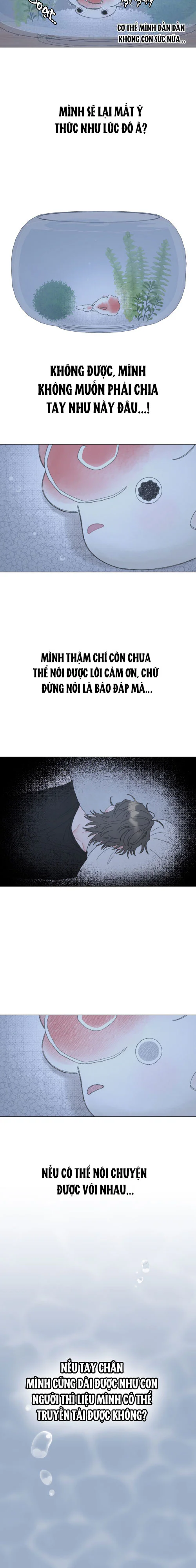 Đọc truyện Oranda Đáng Yêu - Chapter 1