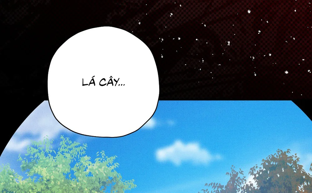 Đọc truyện HOÀNG TỬ HƯ HỎNG CHE GIẤU MÌNH LÀ OMEGA - Chapter 99