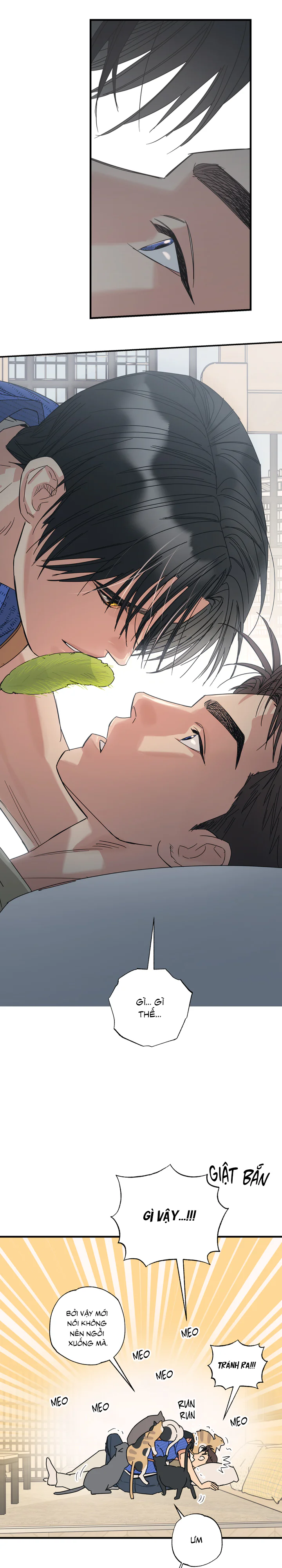 Đọc truyện Lựa chọn tương hỗ - Chapter 3