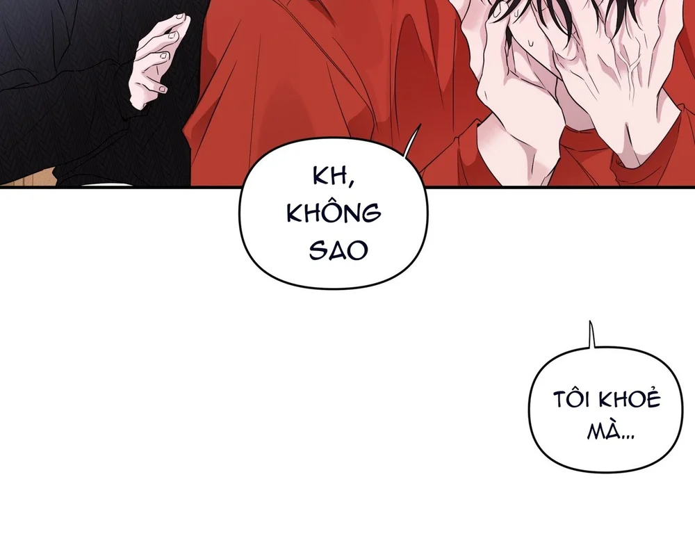 Đọc truyện Màn Đêm Êm Dịu - Chapter 11
