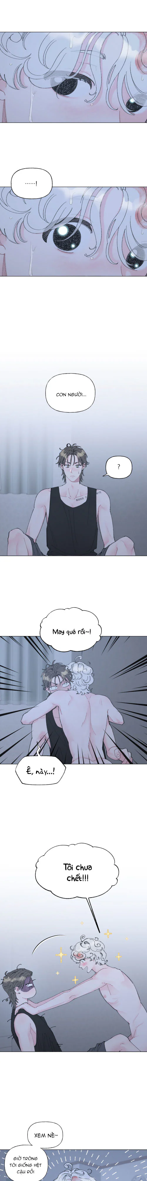 Đọc truyện Oranda Đáng Yêu - Chapter 2