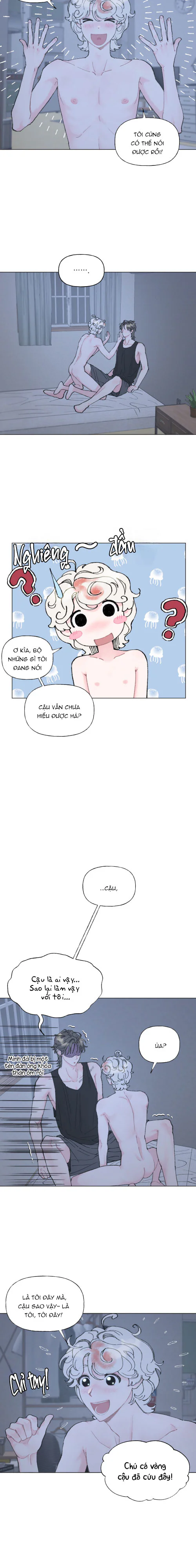 Đọc truyện Oranda Đáng Yêu - Chapter 2