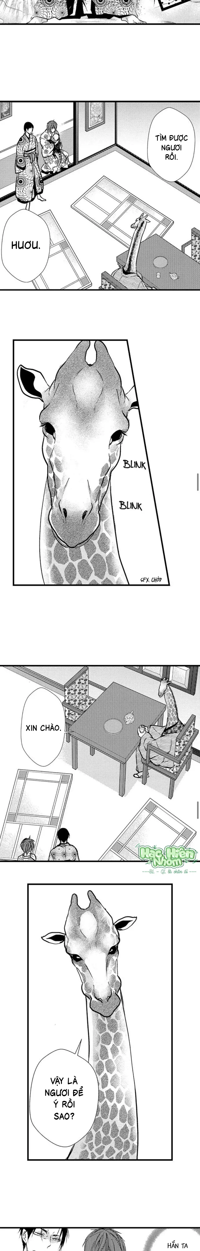 Đọc truyện Fan cuồng Boylove bị triệu hồi tới một thế giới lạ - Chapter 54