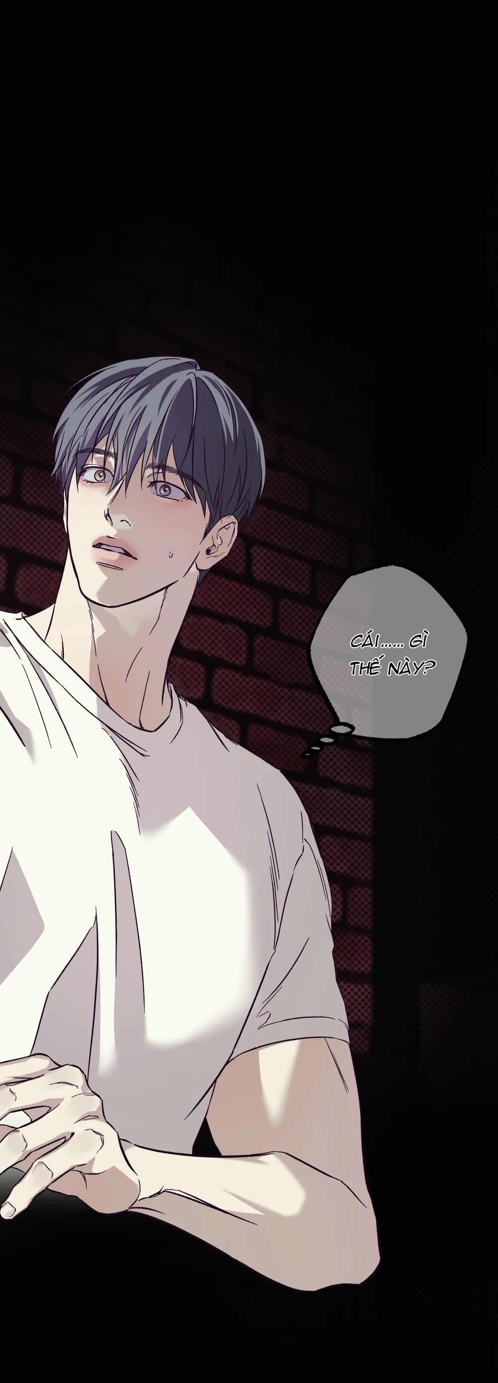 Đọc truyện Đừng Ép Quả Mận - Chapter 2