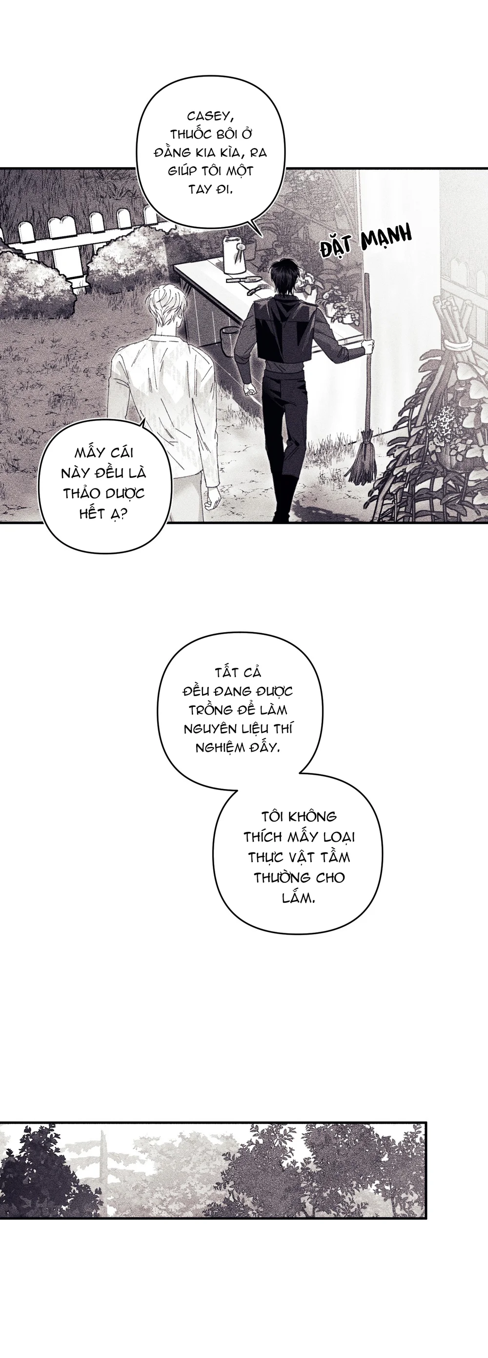 Đọc truyện Bí Mật Của Casey - Chapter 31