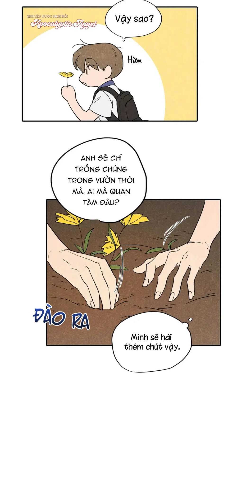 Đọc truyện Một Bó Rau Chân Vịt - Chapter 11
